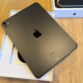 iPad Pro m4 11インチ wifi+cellular 256gb 美品