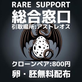 RARE SUPPORT 総合窓口:最新カタログ全9ページ【取寄】 | ARK Survival Evolvedのアカウントデータ、RMTの販売・買取一覧