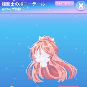 姫騎士のポニーテール 12月レジェ2以上特典SR ルークの贈り物 | ポケコロのアイテム、RMTの販売・買取一覧