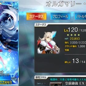 オルガマリー120宝具5 シエル120宝具5 ロウヒ120宝具5 凸黒聖杯 凸カレスコ EX2スコア | FGOのアカウントデータ、RMTの販売・買取一覧