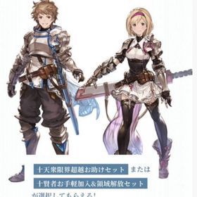 ˖°𓇼🌊⋆🐚RELINKの特典˖°𓇼🌊⋆🐚 | グラブルのアカウントデータ、RMTの販売・買取一覧