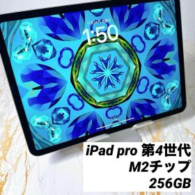 美品iPad Pro 11インチ第４世代 256GB BT93%