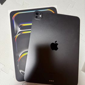 11インチiPad Pro M4 Wi-Fiモデル256GB