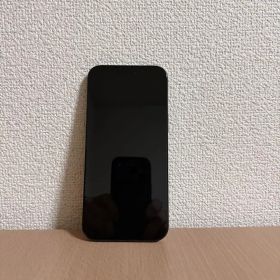 iPhone16 ProMax Black Titanium 256GB おまけ