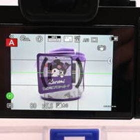 【極上美品】Panasonic LUMIX DC-G100Ｄ ボディ