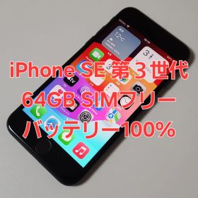 iPhone SE 第3世代 64GB SIMフリー バッテリー容量100%