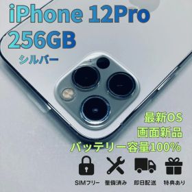 iPhone 12 pro 256GB