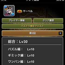 即対応⭕️パズドラ検定クエストクリア代行‼️全てクリア済み‼️ | パズドラ(パズル＆ドラゴンズ)の代行、RMTの販売・買取一覧