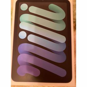 アップル(Apple)のiPad mini A17Pro WiFi 128GB スペースグレイ(タブレット)