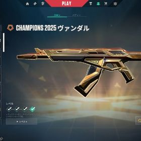 シルバー1!champions2025ヴァンダル+カオス+betaナイフ メアパス即変更可能！ | VALORANT(ヴァロラント)のアカウントデータ、RMTの販売・買取一覧