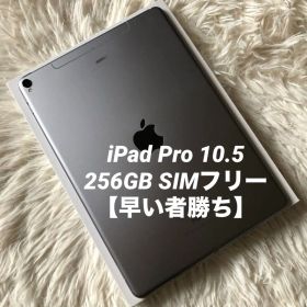 【完動品】iPad Pro 10.5 256GB SIMフリー 【すぐ発送】