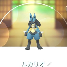 8928【PTC】ルカリオ 12匹 | ポケモンGOのアカウントデータ、RMTの販売・買取一覧