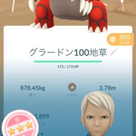 引退アカウント コイン4032 TL54 2018年垢 | ポケモンGOのアカウントデータ、RMTの販売・買取一覧