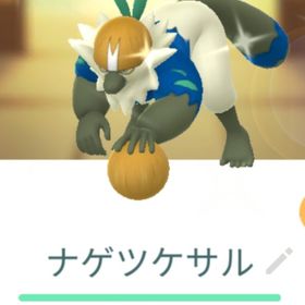 色違いナゲツケサル トレード XXS | ポケモンGOのアカウントデータ、RMTの販売・買取一覧