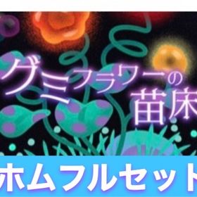 ✨廃盤✨グミフラワーの苗床 ホムフルセット | リヴリーアイランドのアイテム、RMTの販売・買取一覧