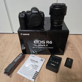 EOS R6 Mark II・RF24-105 IS STM レンズキット