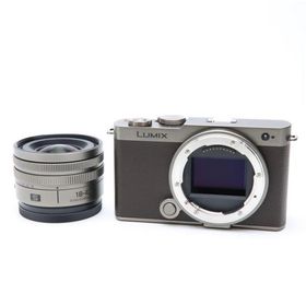 《美品》Panasonic LUMIX S9 広角ズームレンズキット DC-S9N-N