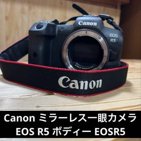 Canon ミラーレス一眼カメラ EOS R5 ボディー EOSR5