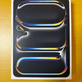 【美品】Apple iPad Pro 11インチ M4 シルバー