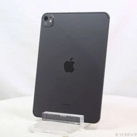 〔中古品〕 iPad Pro 11インチ 第5世代 標準ガラス 256GB スペースブラック MVW13J／A SIMフリー【258】