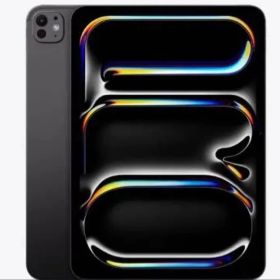 【早いもの勝ち】iPad Pro M4 2TB グレー バッテリー容量100%