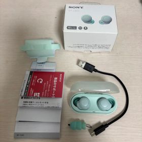 SONY ソニー WF-C500 ワイヤレスイヤホン イヤホン