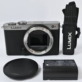 ★極上品★Panasonic LUMIX S9 ボディ DC-S9-S ダークシルバー
