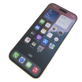 【キズあり品】iPhone 16 Pro Max/256GB/359737301375642
