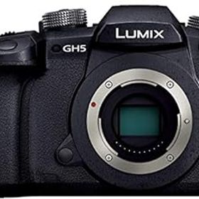 【中古】パナソニック ミラーレス一眼カメラ ルミックス GH5 ボディ ブラック DC-GH5-K
