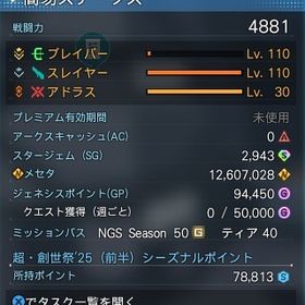 ship4 全クラスLV110 戦闘力4881 | PSO2NGS(ファンタシースターオンライン2)のアカウントデータ、RMTの販売・買取一覧