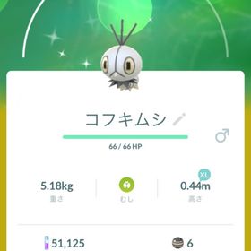 Coolさま専用 | ポケモンGOのアカウントデータ、RMTの販売・買取一覧