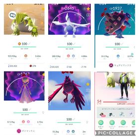 《PTCアカウント》⭐️ 💥伝説💯: 2体、マックス💯：3体、✨色違い：58体 | ポケモンGOのアカウントデータ、RMTの販売・買取一覧