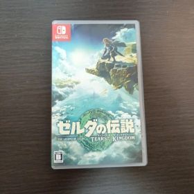ゼルダの伝説 ティアーズオブザキングダム