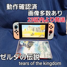 ゼルダの伝説 ティアーズオブザキングダム Switch ソフト ニンテンドー