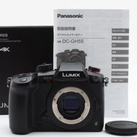 22605ショット!! 良品 Panasonic DC-GH5S ボディ 箱付き 付属品多数 No2