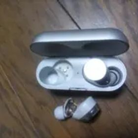 Technics eah-az60m2イヤホン 左が破損 右は生存