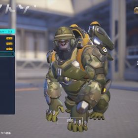PC版 OW1所持 レジェンドスキン多数所持 低レート ライバル参加可能 | オーバーウォッチ2(OW2)のアカウントデータ、RMTの販売・買取一覧
