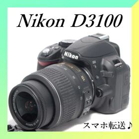 ✨Nikon D3100✨手振れ補正レンズ✨入門モデル✨一眼レフカメラ✨
