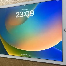 iPad pro 第2世代 12.9インチ