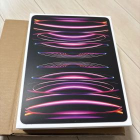 iPad Pro 12.9inch 第六世代 256GB