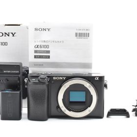 シャッター回数48193回！■美品■ SONY α6100 ボディ ブラック ILCE-6100 B