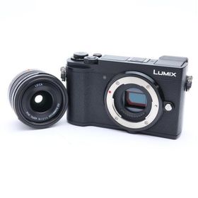 《良品》Panasonic LUMIX GX7 Mark III 単焦点ライカDGレンズキット DC-GX7MK3L