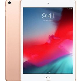 iPad mini 7.9インチ 第5世代[64GB] セルラー SoftBank ゴール…