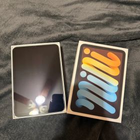 (極美品)iPadmini第7世代128GB WiFiモデル バッテリー100%