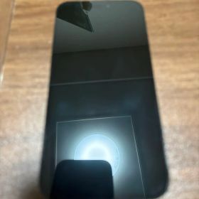 iPhone14 Pro Max 256GB 美品 99% 箱＋純正ケーブル付
