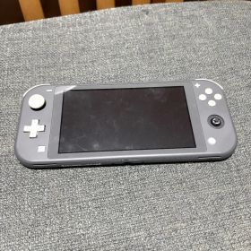 Nintendo Switch Lite ニンテンドースイッチライト グレー ジャンク