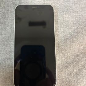 Apple iPhone 12 mini本体