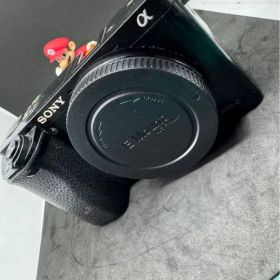 SONY α6000