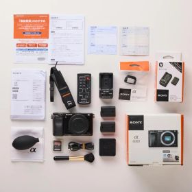 SONY α6000 ボディ 動作確認済み 元箱 おまけ付き