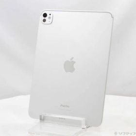〔中古品〕 iPad Pro 11インチ 第5世代 標準ガラス 256GB シルバー 3M773J／A Wi-Fi【269】